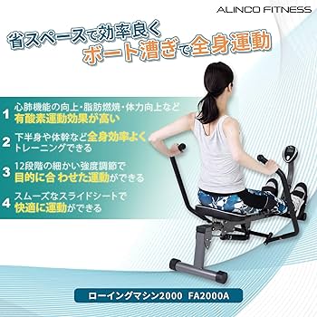アルインコ　ローイングマシン　G3000 新品未開封 アルインコ ローイングマシン G3000